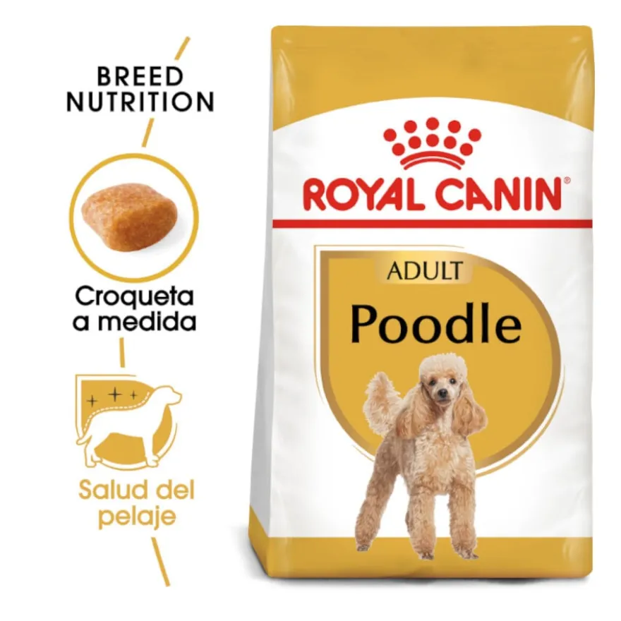 Royal Canin Adult Poodle ração para cães