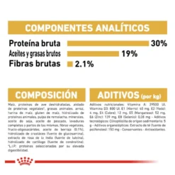 Royal Canin Adult Poodle ração para cães