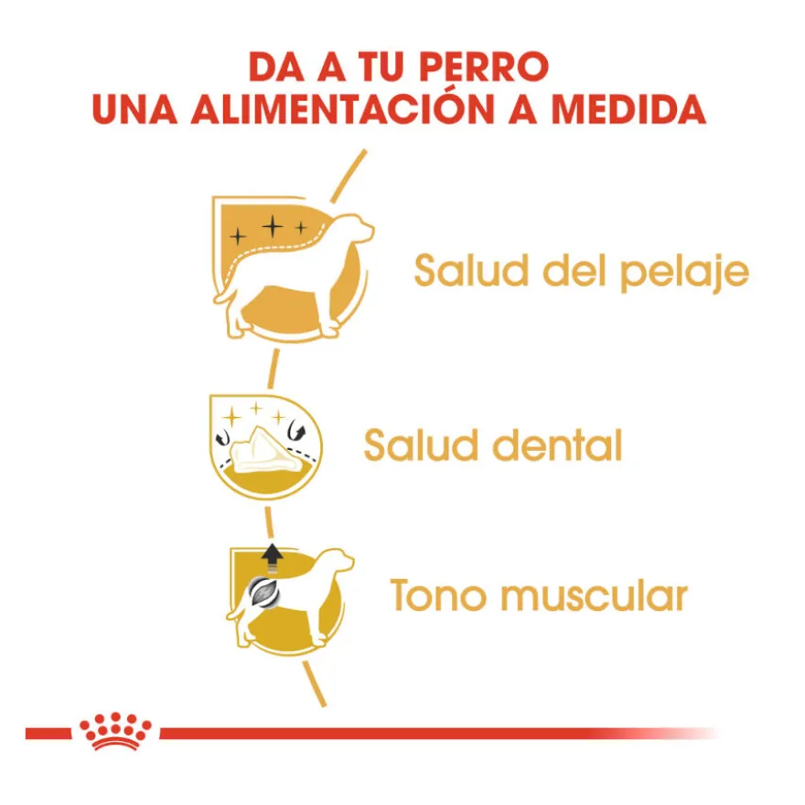 Royal Canin Adult Poodle ração para cães