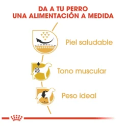 Royal Canin Adult Pug ração para cães