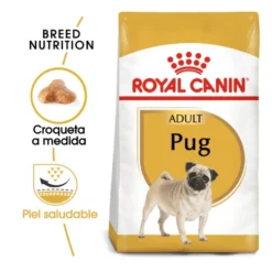Royal Canin Adult Pug ração para cães