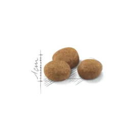 Royal Canin Adult 7+ Regular Sterilised ração para gatos