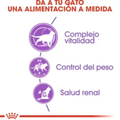 Royal Canin Adult 7+ Regular Sterilised ração para gatos
