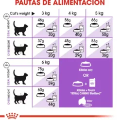 Royal Canin Adult 7+ Regular Sterilised ração para gatos