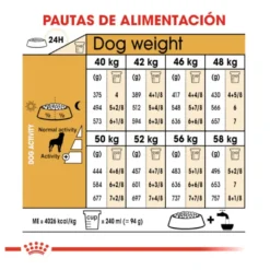 Royal Canin Adult Rottweiler ração para cães