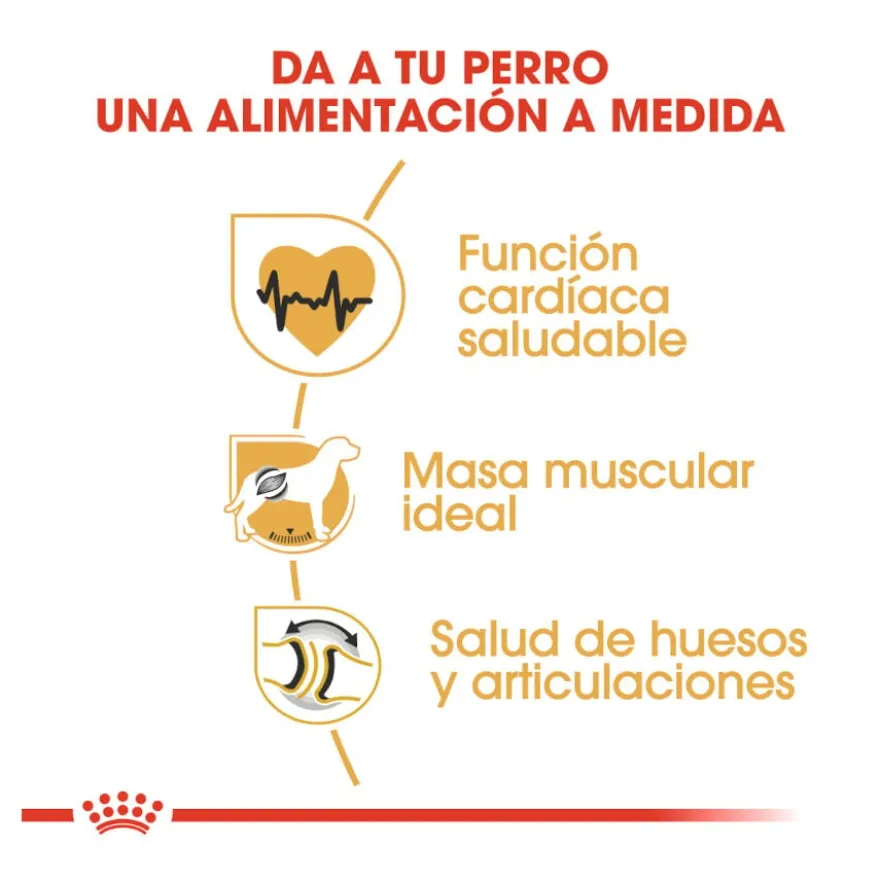 Royal Canin Adult Rottweiler ração para cães