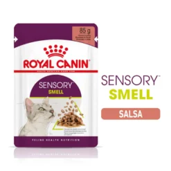 Royal Canin Adult Sensory Smell molho saqueta para gatos