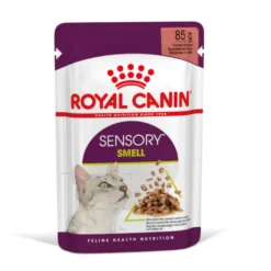 Royal Canin Adult Sensory Smell molho saqueta para gatos