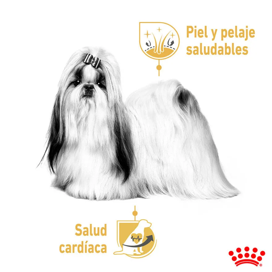 Royal Canin Adult Shih Tzu Patê