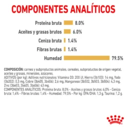 Royal Canin Adult Shih Tzu Patê