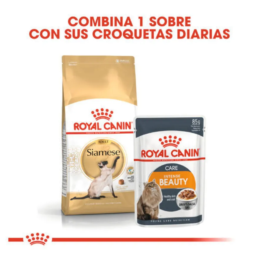 Royal Canin Adult Siamês ração para gatos