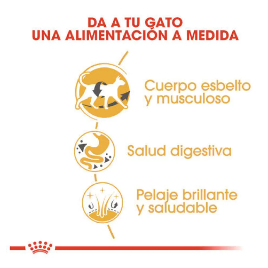 Royal Canin Adult Siamês ração para gatos