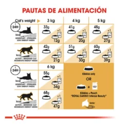 Royal Canin Adult Siamês ração para gatos