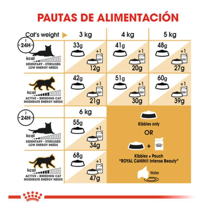 Royal Canin Adult Siamês ração para gatos