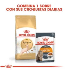 Royal Canin Adult Sphynx ração para gatos