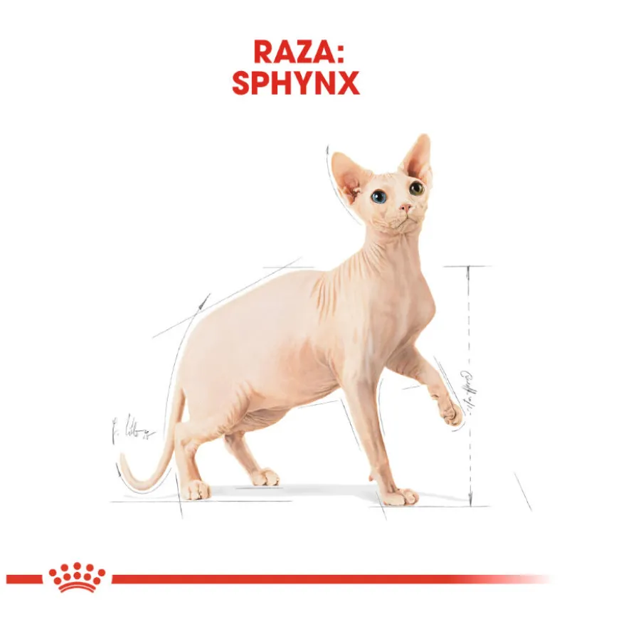Royal Canin Adult Sphynx ração para gatos