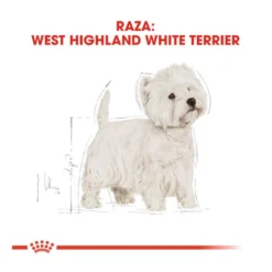 Royal Canin Adult White Terrier West Highland ração para cães