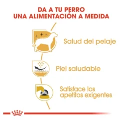 Royal Canin Adult White Terrier West Highland ração para cães