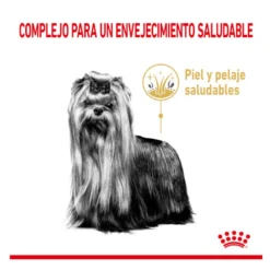 Royal Canin Adult 8+ Yorkshire ração para cães