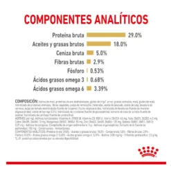Royal Canin Adult 8+ Yorkshire ração para cães