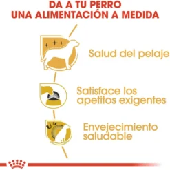 Royal Canin Adult Yorkshire Terrier ração para cães