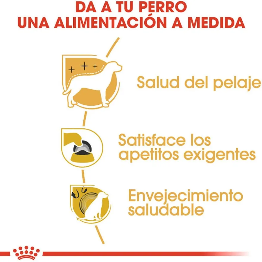 Royal Canin Adult Yorkshire Terrier ração para cães