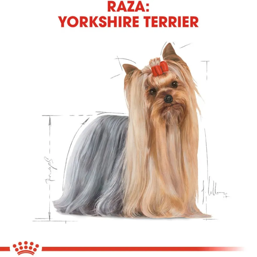 Royal Canin Adult Yorkshire Terrier ração para cães