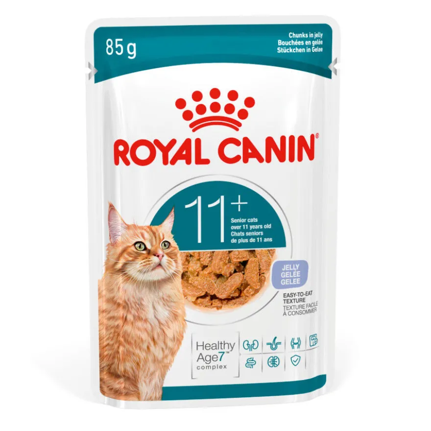 Royal Canin Ageing +11 Alimento Húmido em Gelatina para gatos sénior.