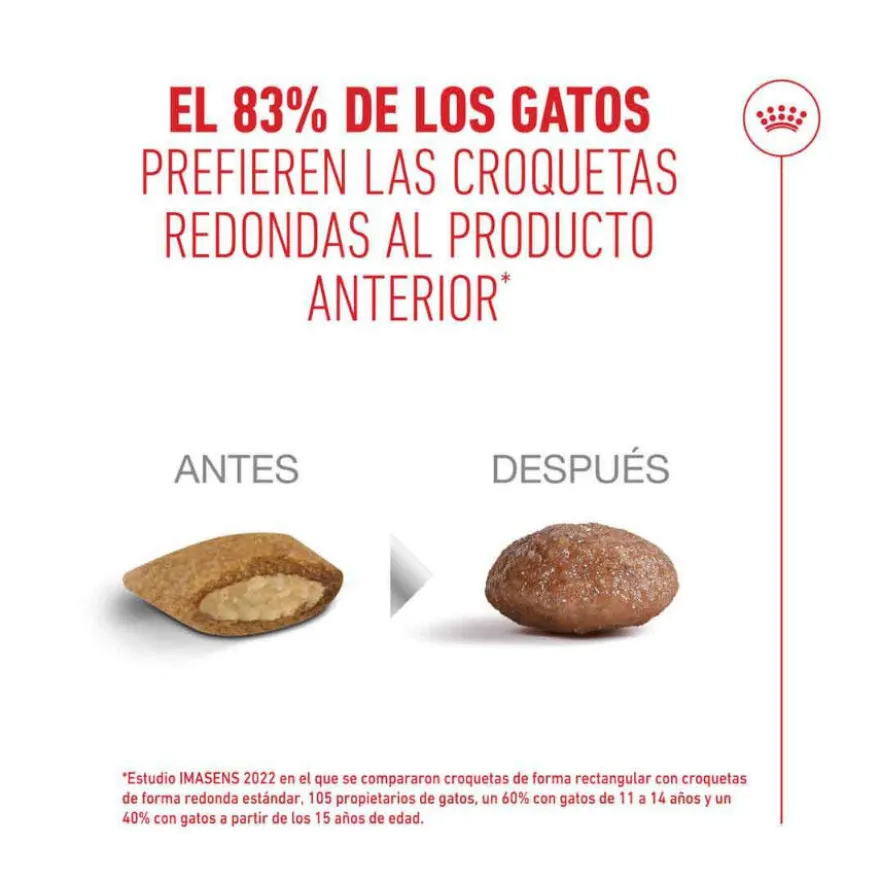 Royal Canin Ageing 11+ ração para gatos sénior