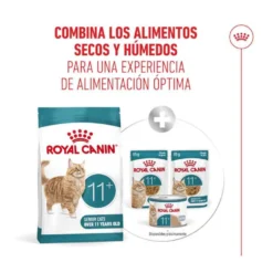 Royal Canin Ageing 11+ ração para gatos sénior