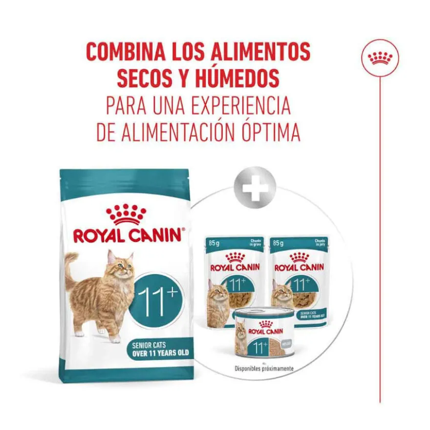 Royal Canin Ageing 11+ ração para gatos sénior