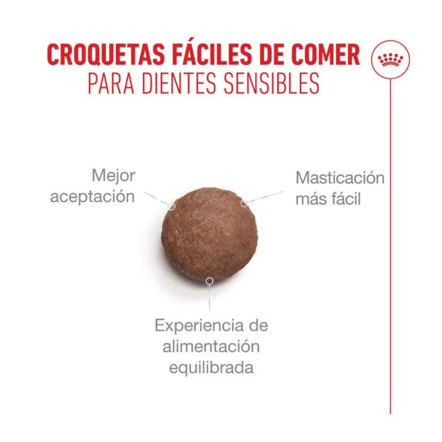 Royal Canin Ageing 11+ ração para gatos sénior