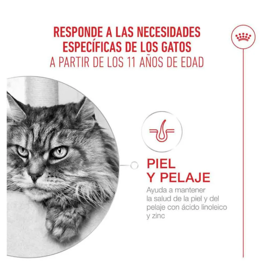 Royal Canin Ageing 11+ ração para gatos sénior