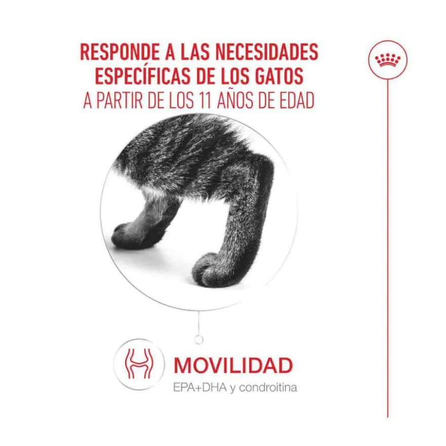 Royal Canin Ageing 11+ ração para gatos sénior