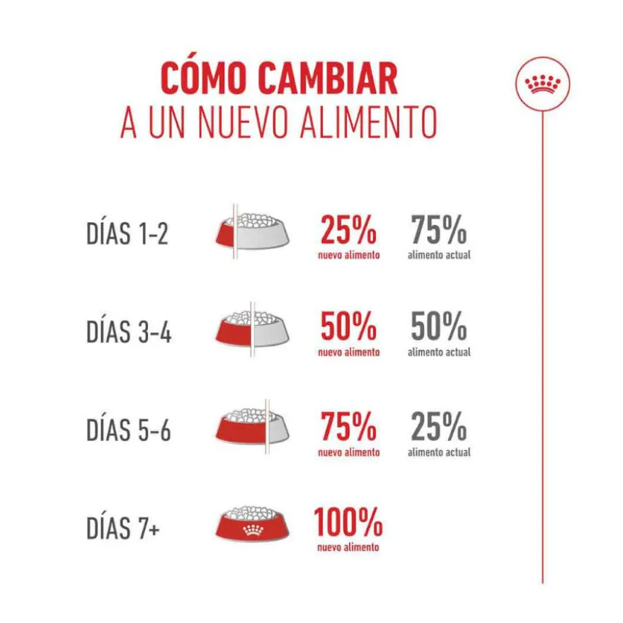 Royal Canin Ageing 11+ ração para gatos sénior