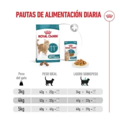 Royal Canin Ageing 11+ ração para gatos sénior