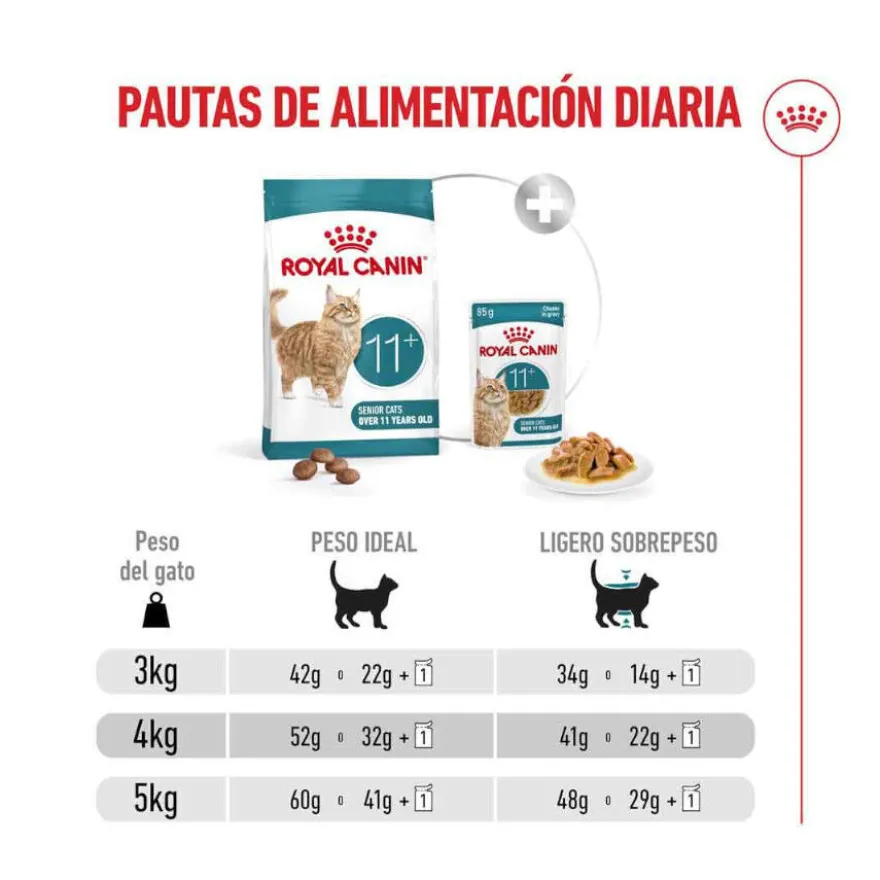 Royal Canin Ageing 11+ ração para gatos sénior