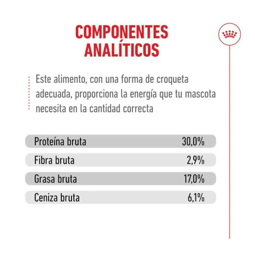 Royal Canin Ageing 11+ ração para gatos sénior