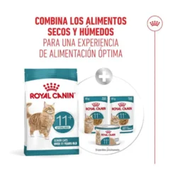 Royal Canin Ageing 11+ Sterilised ração para gatos sénior