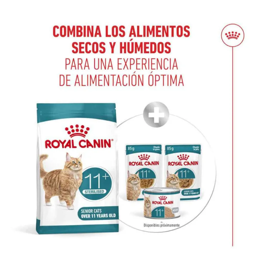 Royal Canin Ageing 11+ Sterilised ração para gatos sénior
