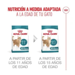 Royal Canin Ageing 11+ Sterilised ração para gatos sénior