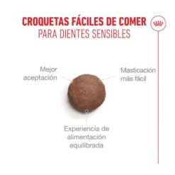 Royal Canin Ageing 11+ Sterilised ração para gatos sénior