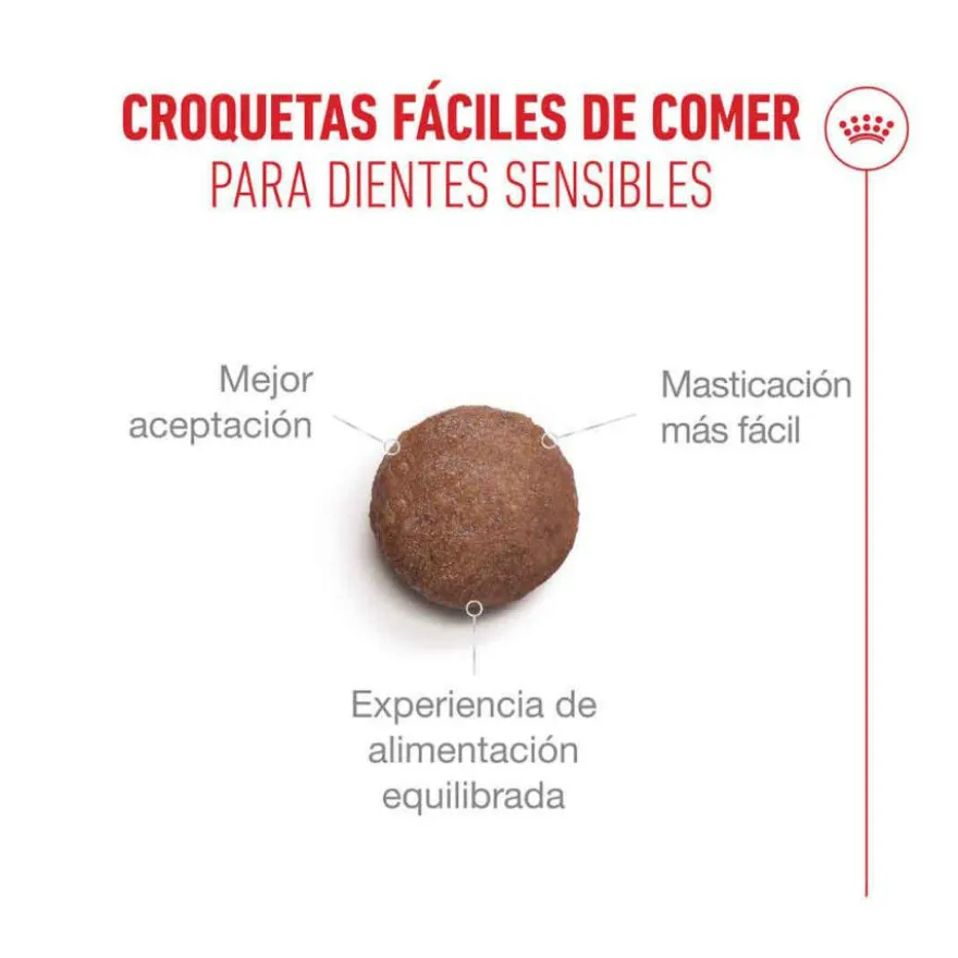 Royal Canin Ageing 11+ Sterilised ração para gatos sénior