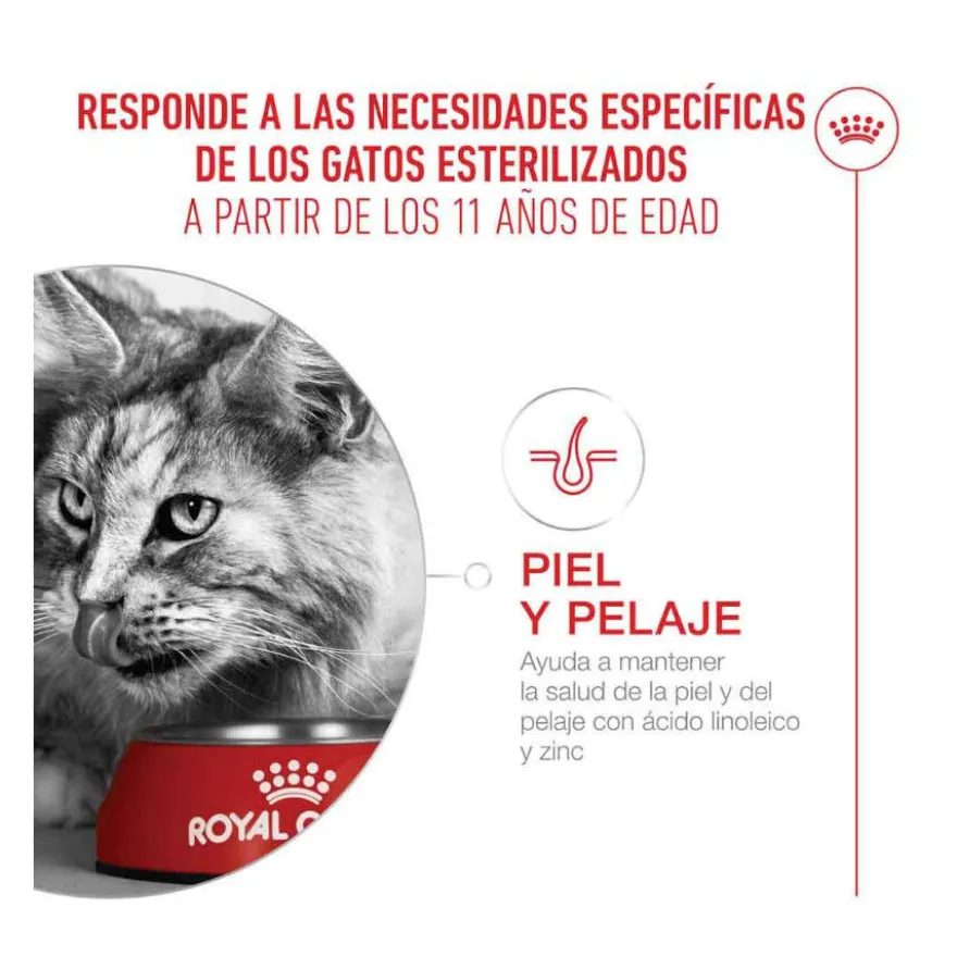 Royal Canin Ageing 11+ Sterilised ração para gatos sénior