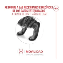 Royal Canin Ageing 11+ Sterilised ração para gatos sénior