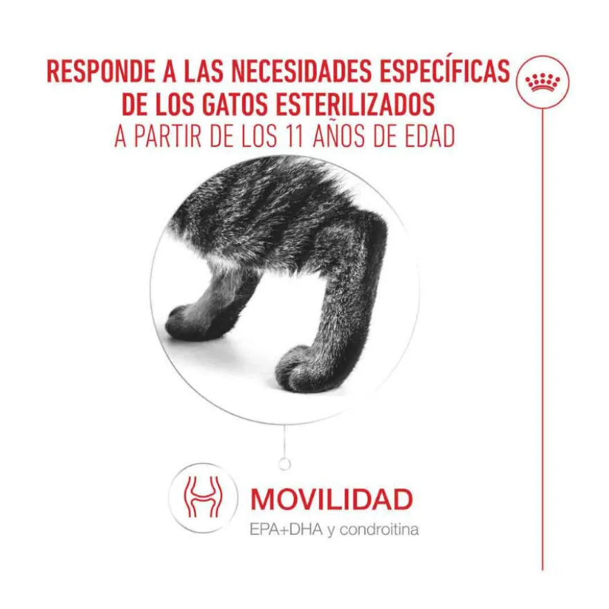 Royal Canin Ageing 11+ Sterilised ração para gatos sénior