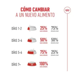 Royal Canin Ageing 11+ Sterilised ração para gatos sénior