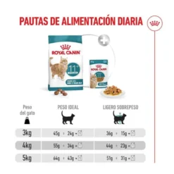Royal Canin Ageing 11+ Sterilised ração para gatos sénior