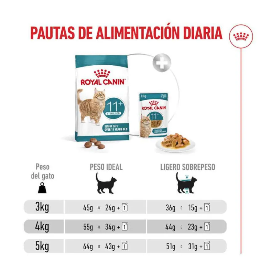 Royal Canin Ageing 11+ Sterilised ração para gatos sénior