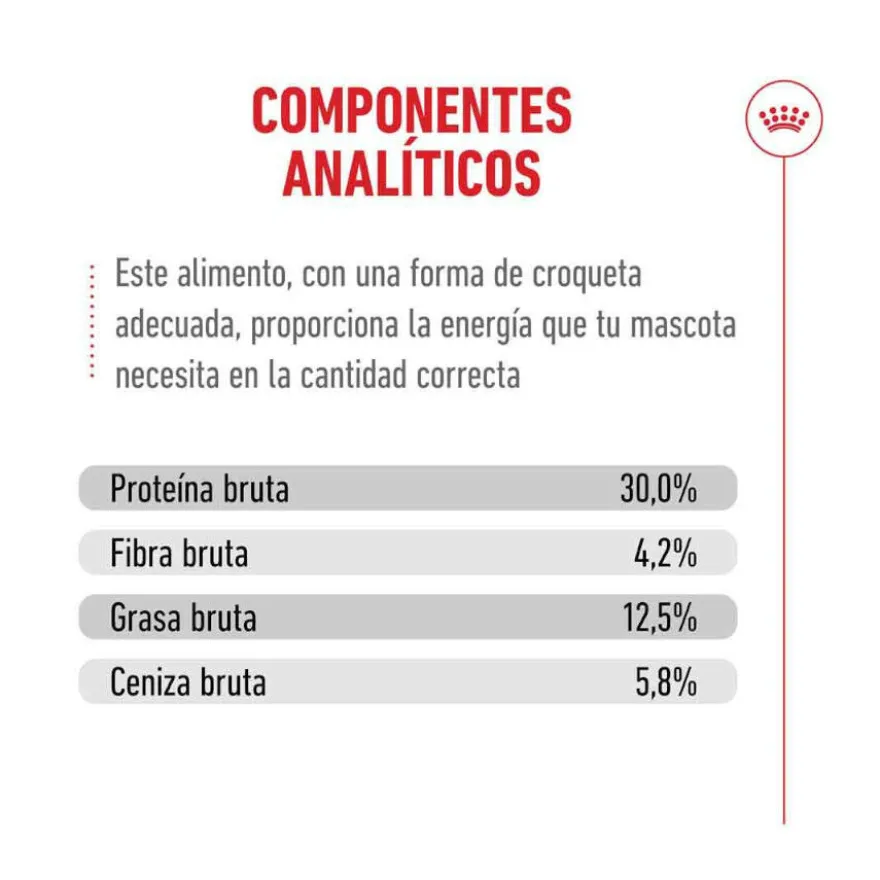 Royal Canin Ageing 11+ Sterilised ração para gatos sénior